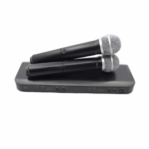 Double Micro Shure